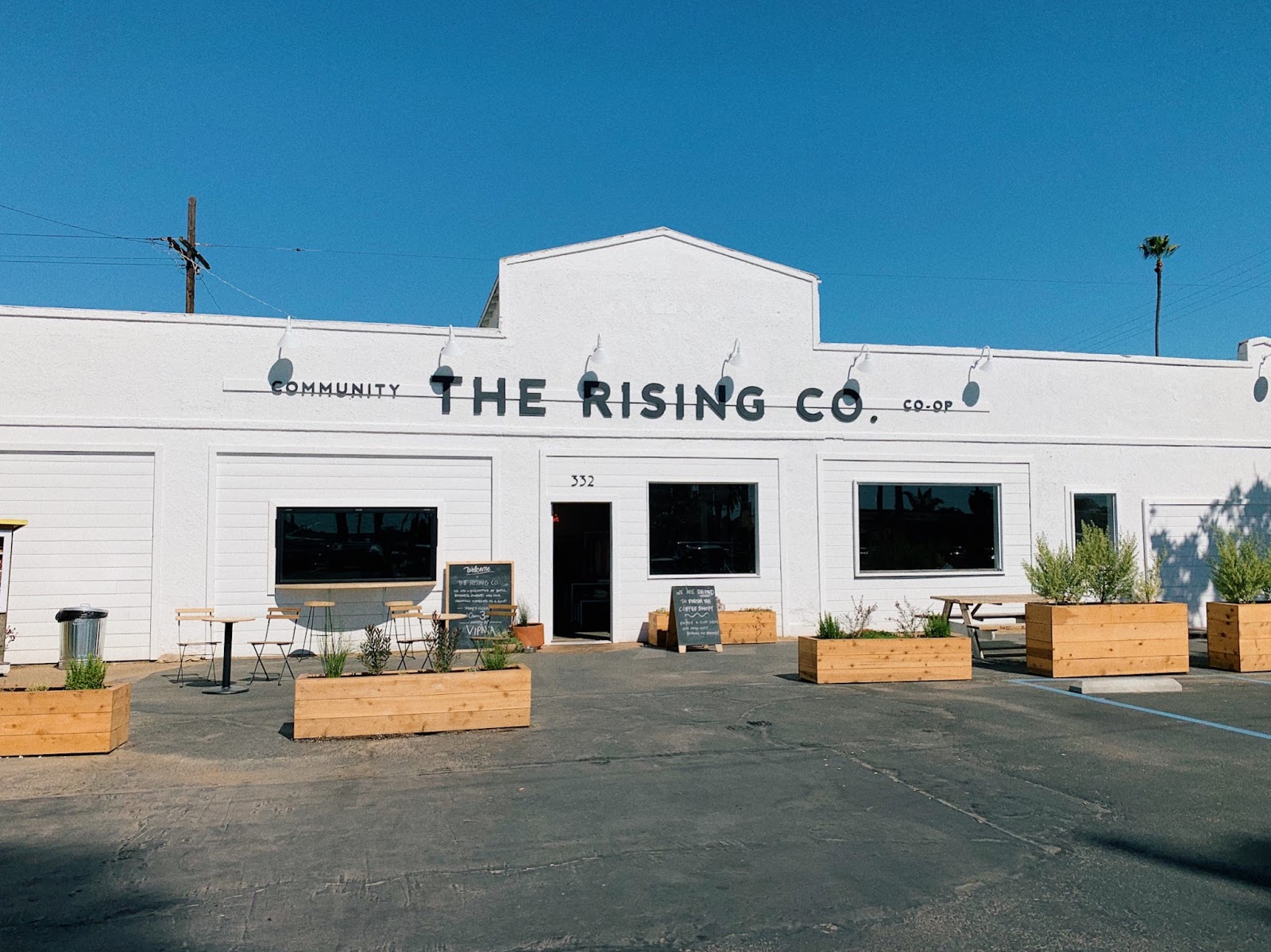 Oceanside's 2 Cutest Plant Shops You Have to Visit The Bobbed