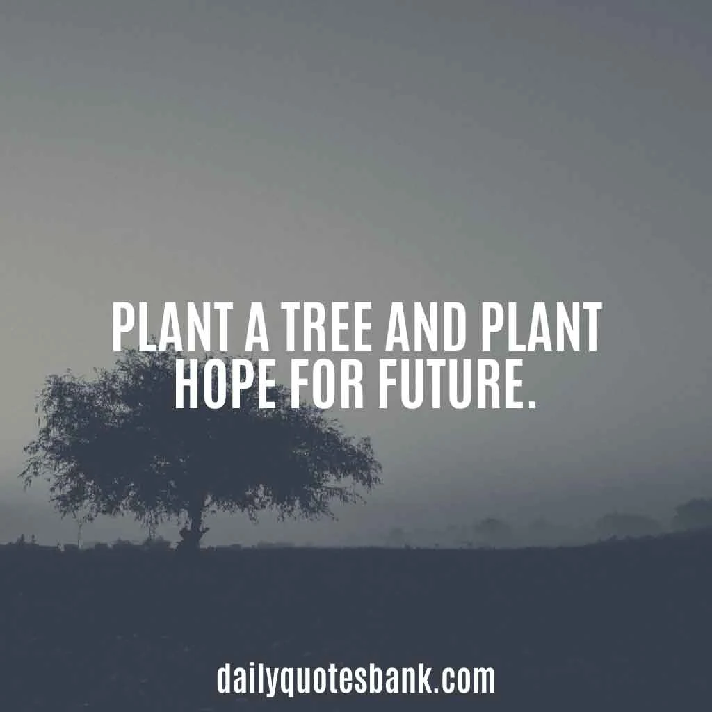 Inspirational Quotes About Planting Trees For Future Generations