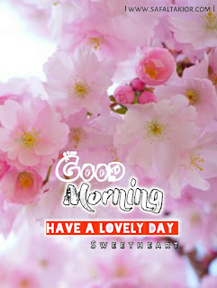 Lovely Good Morning Images sd | good morning images new latest | good morning images new | good morning beautiful pictures
