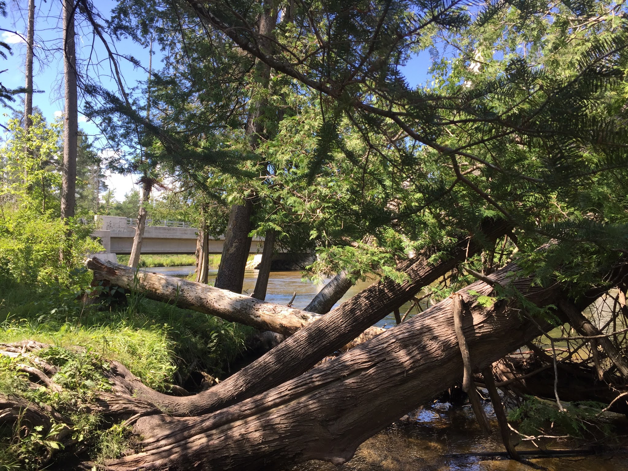 Travel Reviews & Information Mancelona and East Jordan, Michigan