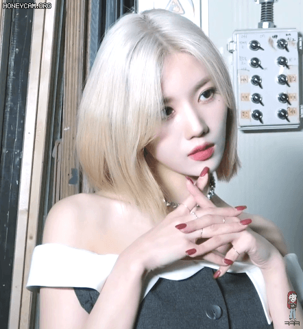 Honeycam%2B2019.gif