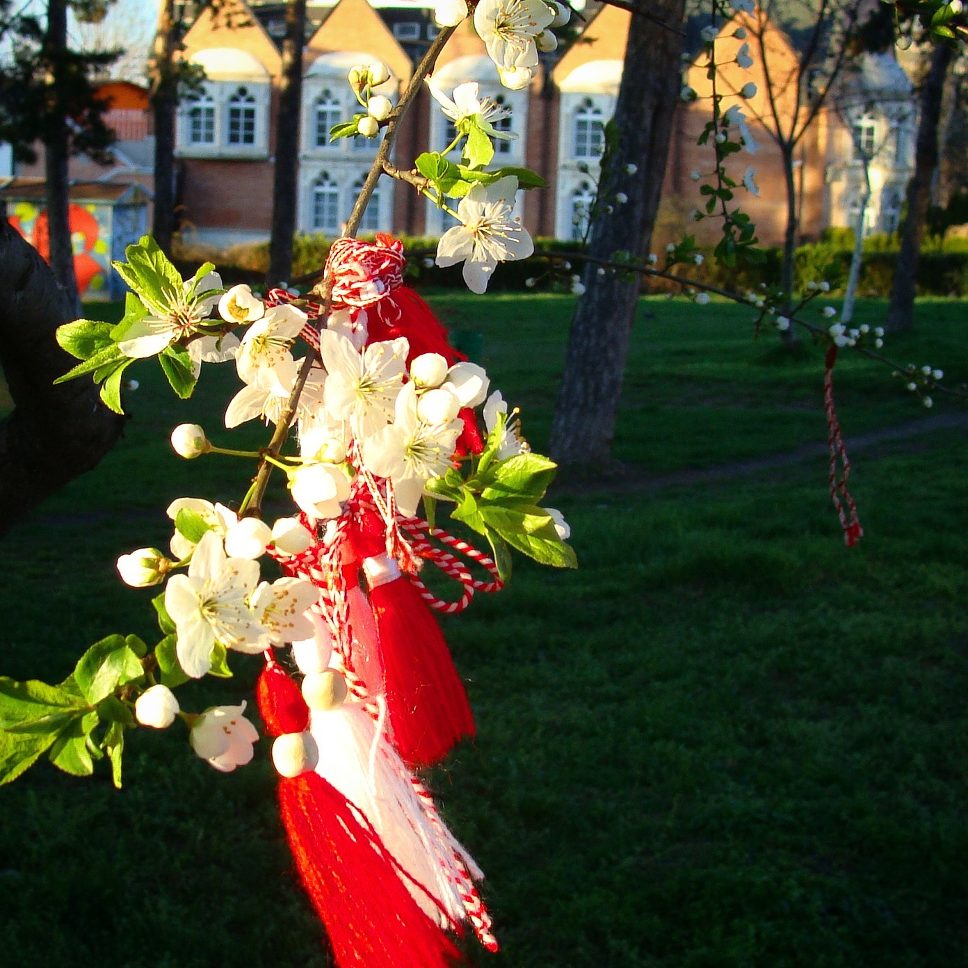 Весна в болгарии Весна в болгарии