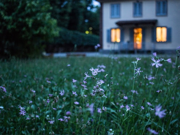 Getting your garden ready for summertime