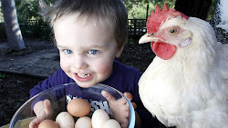 rent chicken families chickens victorian bizarre seemingly pay outside services they clucky