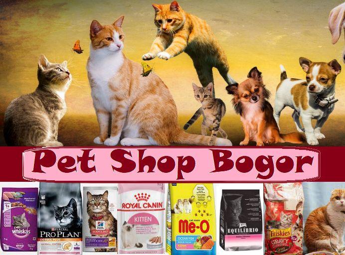 Bogor Pet Grooming, Klinik, Penitipan Hewan Daftar Alamat