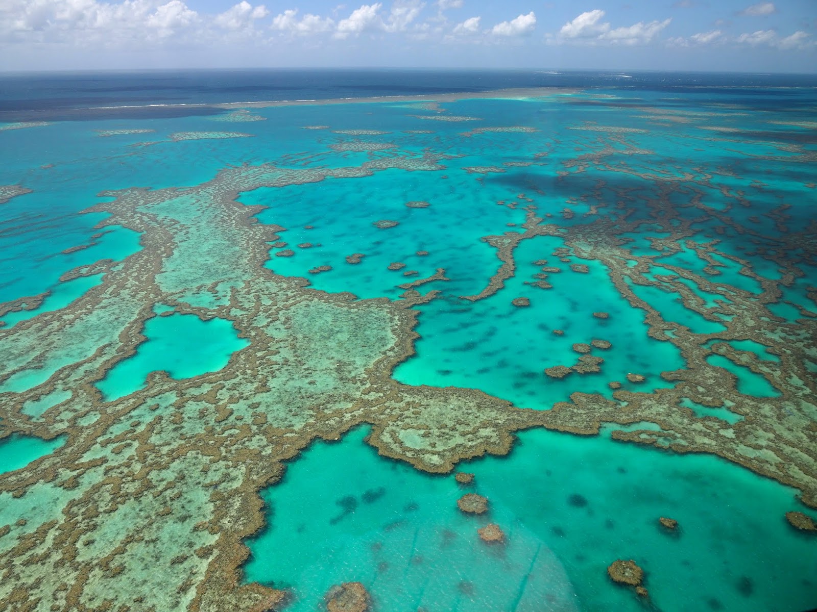 2020-02-17 Eastern Australia: 2020-03-16 – Hardy Reef and the Heart of ...