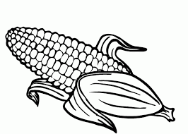 Corn coloring pages 1