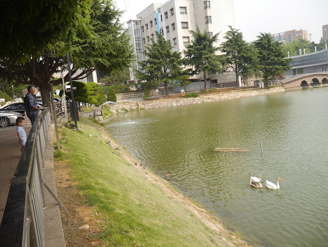 2015,summer 於是我就在韓國了 Day5