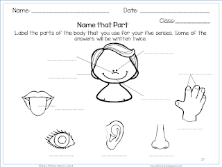 Nyla's Crafty Teaching: The Five Senses Worksheets, Activities and Posters