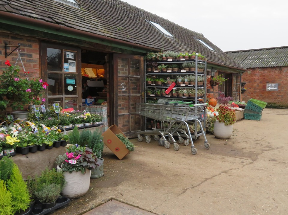 Martin Brookes Oakham Poplars Farm Shop Nuneaton Halloween Pumpkins