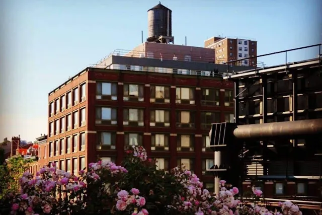 Views during a walk on the High Line in New York City