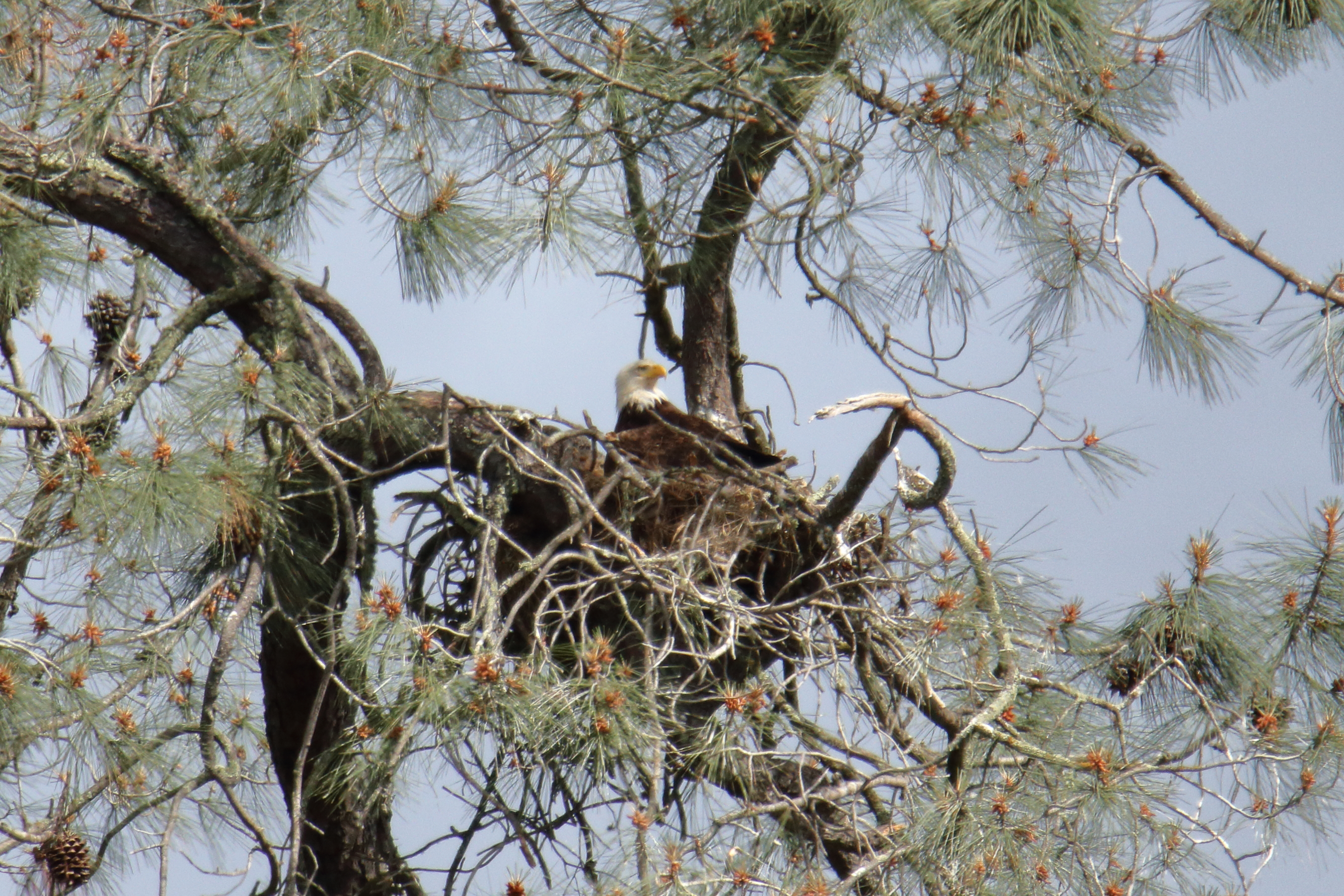 Coyote Lake County Park