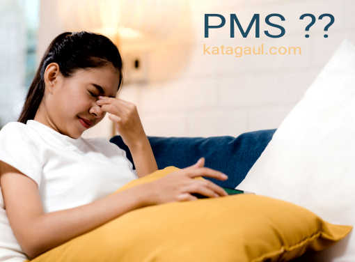 Apa Arti Pms Dalam Bahasa Gaul Katagaul Com