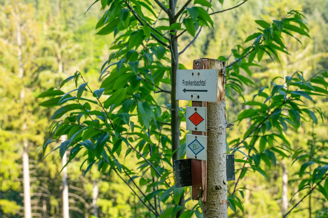 Premiumwanderweg Murgleiter | Etappe 3 von Forbach nach Schönmünzach | Wandern nördlicher Schwarzwald 05