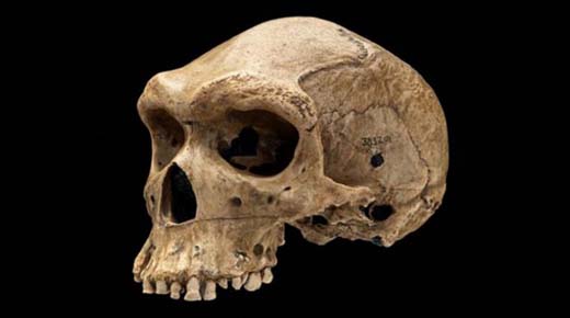 ¿Fue un Neanderthal disparado por un viajero del tiempo?