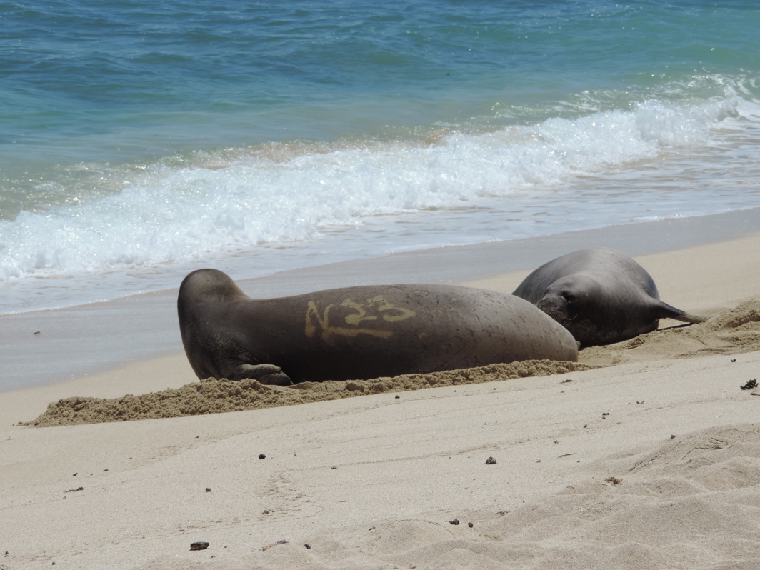 8122013 Team Billand Pohaku & Benny at