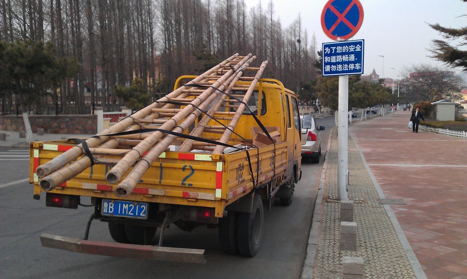 Mabboo /////////////// A POTTED HISTORY OF BAMBOO