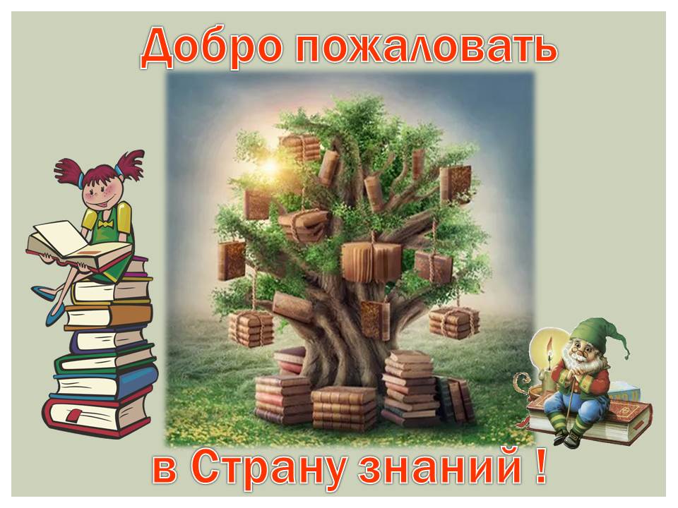 библиотека рисунок. библиотека арт. в поисках знаний доклад история. мир знаний. историк рисунок.