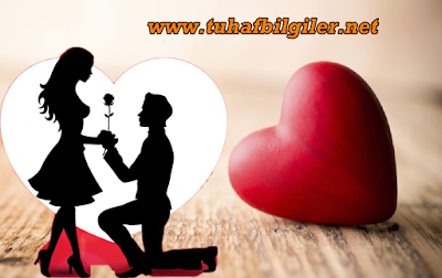 aşk bilimsel olarak aşk