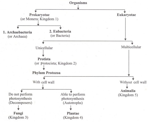 Five Kingdoms - जीवों का पाँच जगत वर्गीकरण Five kingdom classification of organisms
