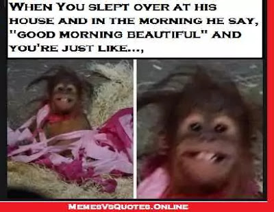Good Morning Beautiful memes, slept over, monkey face
