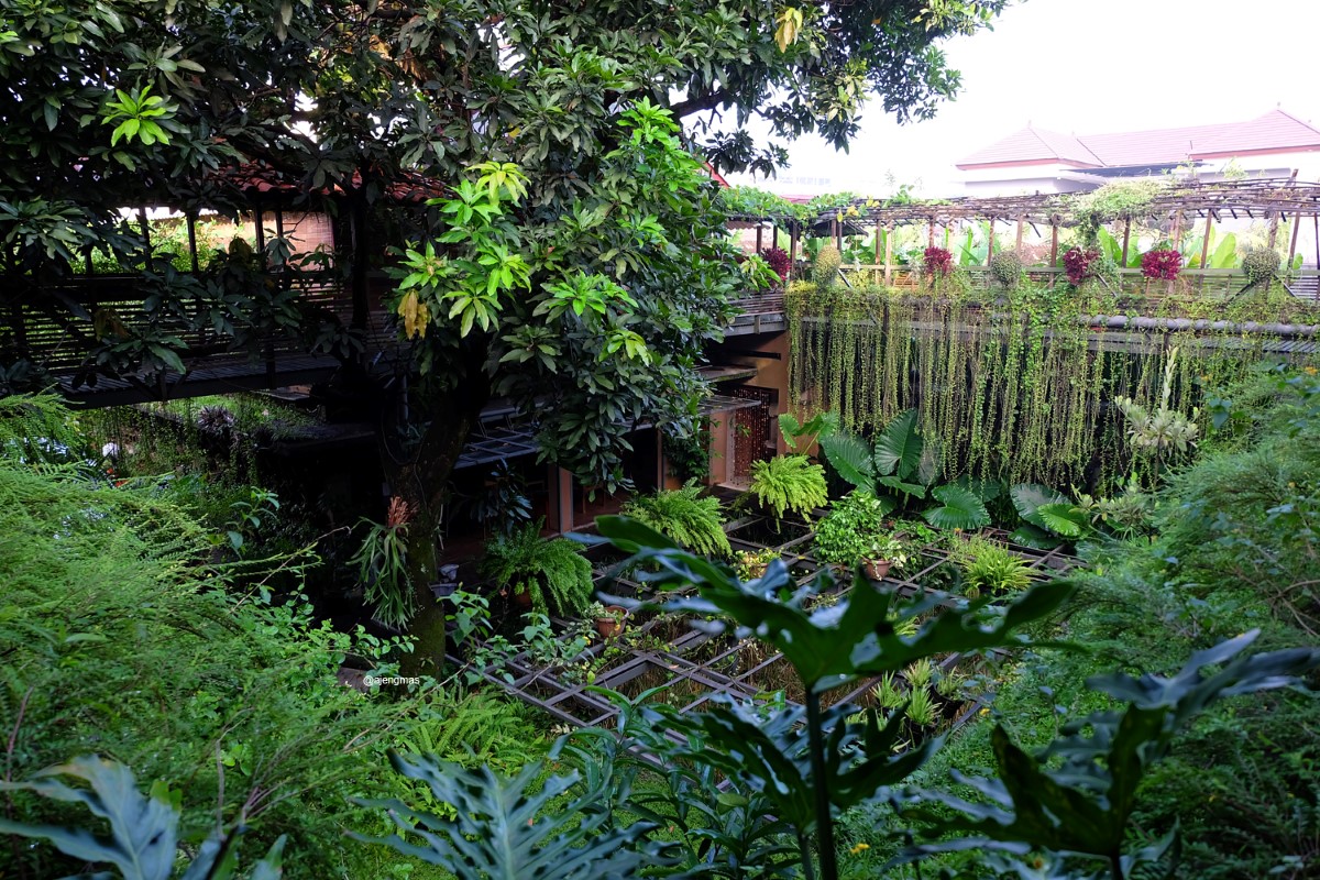 review-rumah-turi-eco-hotel-murah-solo-surakarta-jawa-tengah-ajengmas