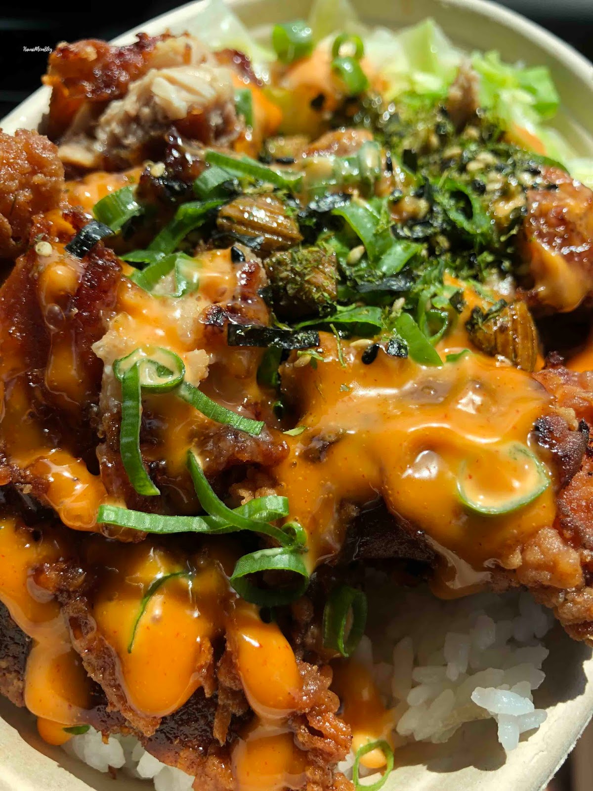 Hawaii Mom Blog Visit Maui Tin Roof