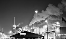 Peternakan Kambing Di Lumajang Dan Jember Jatim