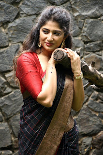 Roshini Prakash Saree Stills From Jada Movie Audio Launch