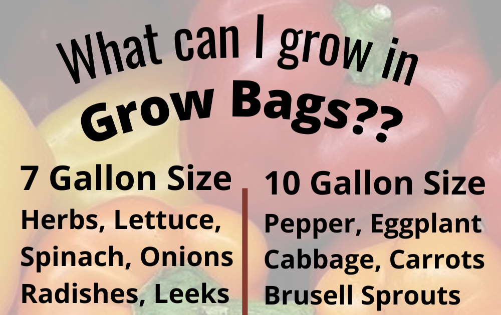 The Homestead Village: Grow Bag Sizes for Vegetables