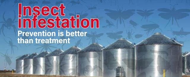 The Global Miller: Prevention is better than treatment—How to prevent ...