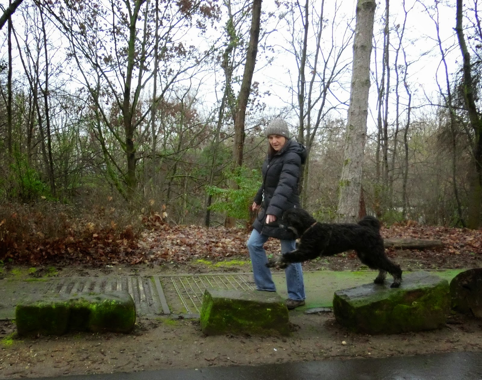 Der Pfotenblog Rund um den Hund Sportlich