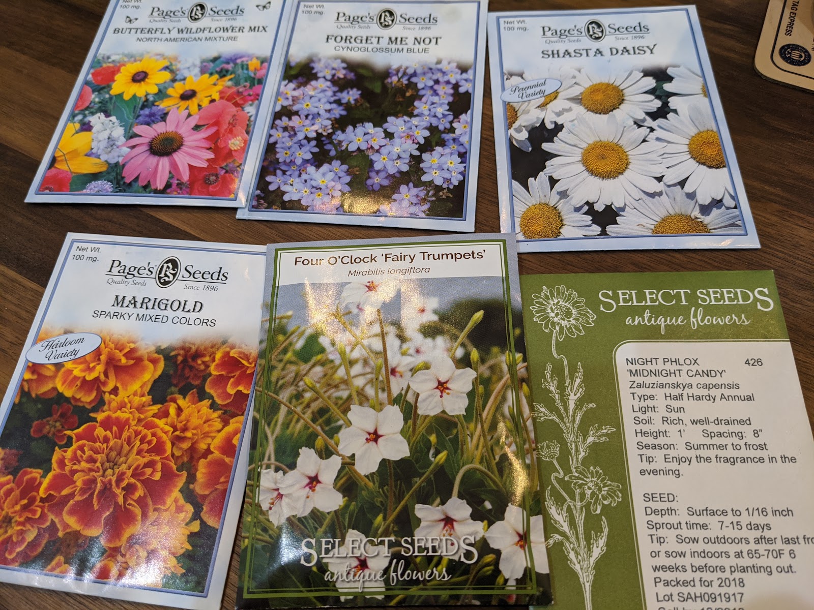 More Flower Seeds To Sow Indoors - April 2020