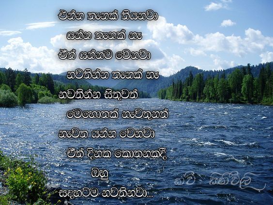 Sinhala wishes and sms Sinhala Wishes and SMS | සිංහල සුභපැතුම් එකතුව