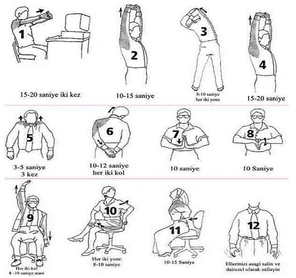 egzersizler nelerdir