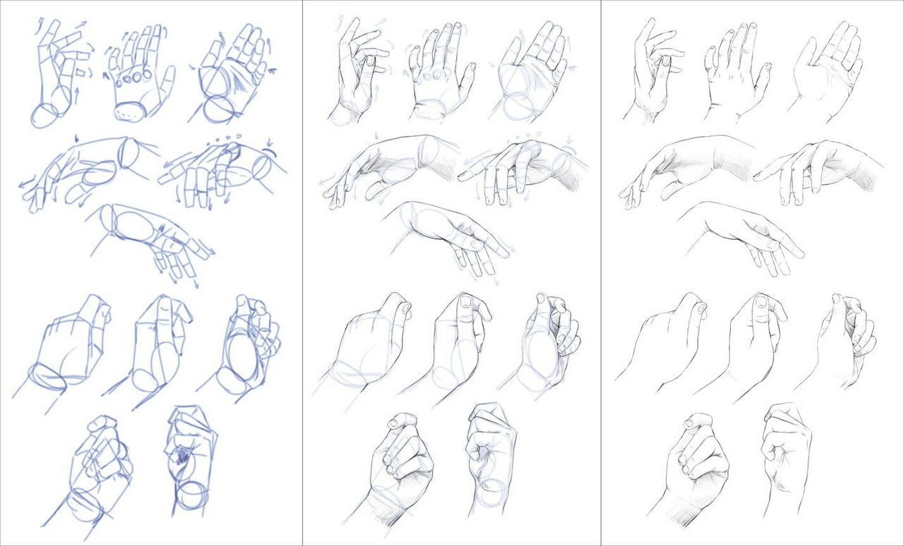 Включи сами начинают руки рисовать. Уроки рисования рук. Поэтапное рисование рук. Этапы рисования рук. Схема рисования кисти.