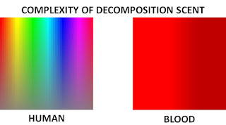 Textusa: Blood and the EVRD dog - Part 1  Complexity