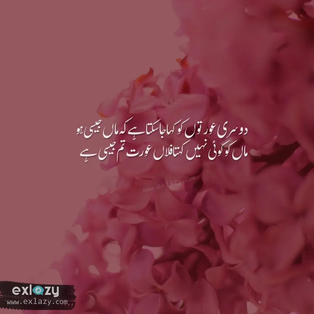 The Best 20 Mother Quotes in Urdu - Maa Quotes