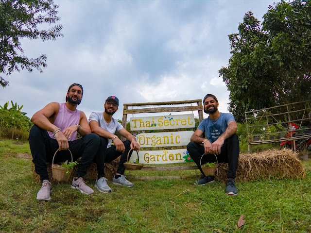 Thai Secret Cooking Class & Organic Garden. December 29-2018