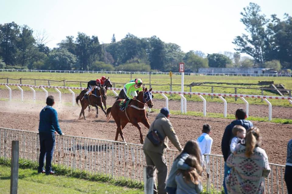 Turf Nacional Nuevo Hipódromo de Las Flores