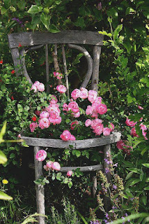 MA VIE EN ROSE: 2016