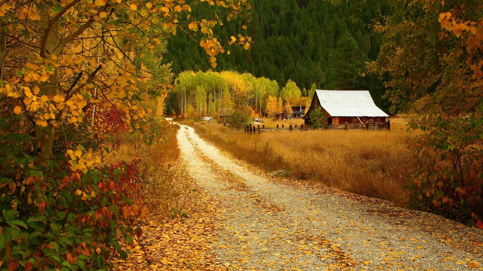 Wenatchee National Forest in Autumn, Washington