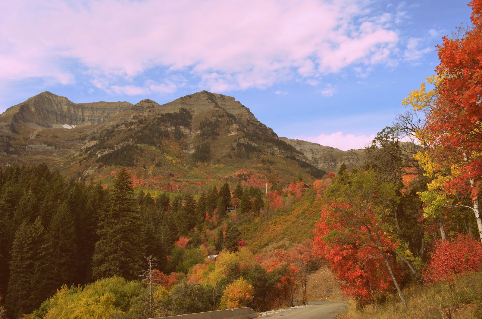 Alpine Loop