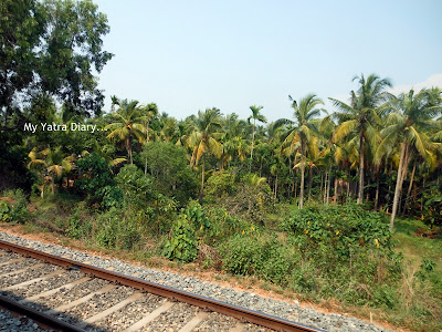 Calicut to Kannur Local train ride, Kerala