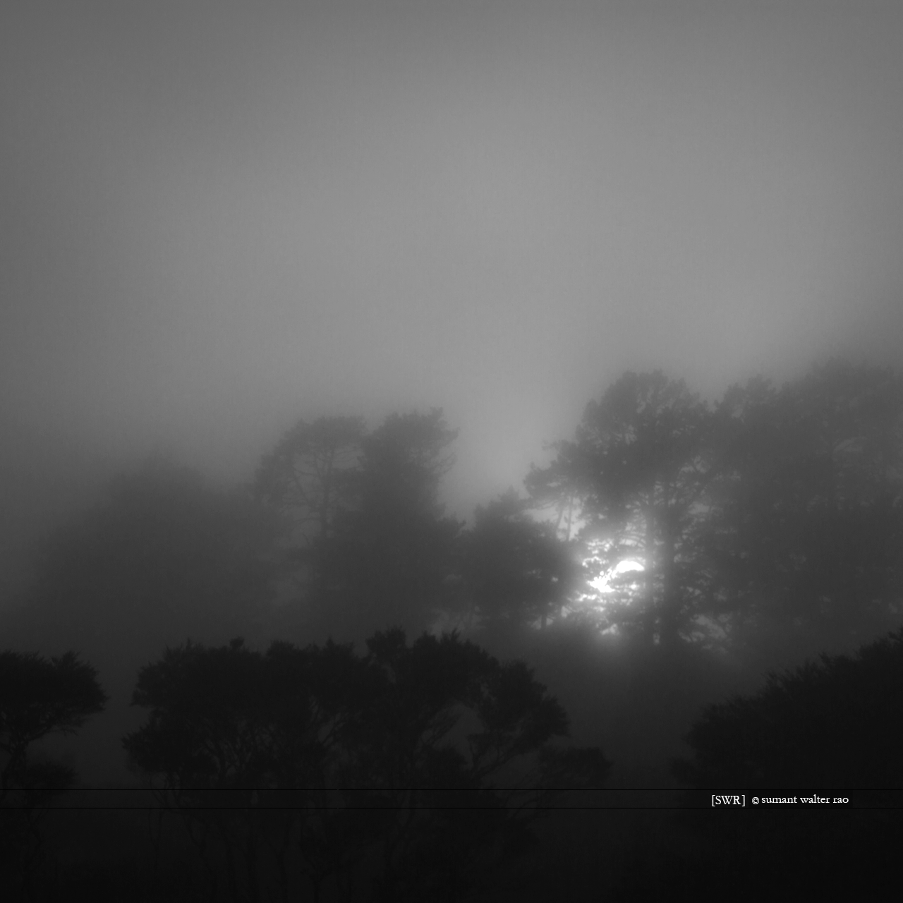 Sumant Walter Rao Photography: 2012