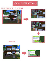 chickens converse play