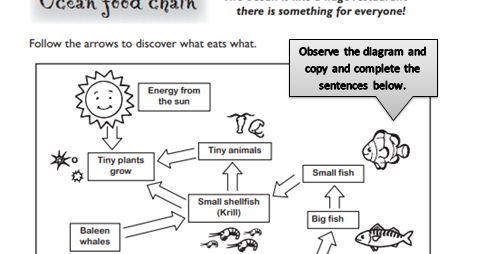 Proyecto Bilingüe Nuestra Señora de Belén: Ocean Food Chain Worksheet