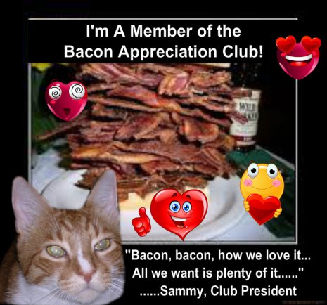Yeah Cat, BACON!