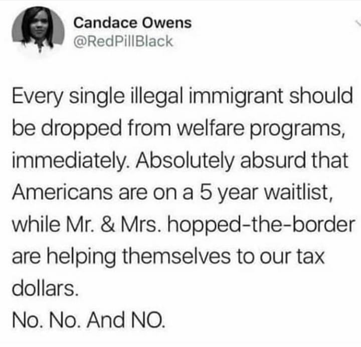 Candace Owen Quote