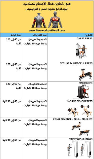 جدول تمارين كمال الاجسام للمبتدئين